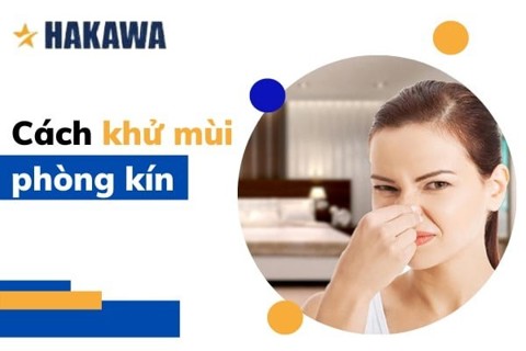 Cách khử mùi hôi phòng kín