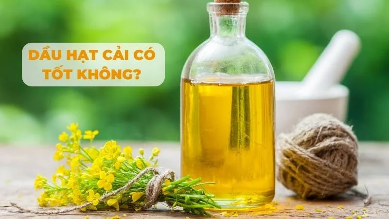 Dầu hạt cải có tốt không