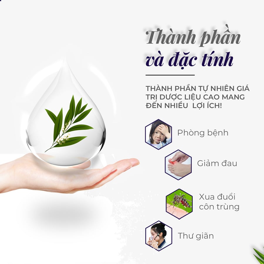 Tinh dầu tràm Hakawa với thành phần tự nhiên 100% có giá trị dược liệu cao giúp phòng bệnh, giảm đau, điều trị vết côn trùng cắn, xua đuổi côn trùng và sử dụng xông để thư giãn vô cùng hiệu quả