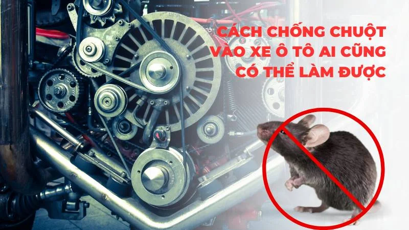 Cách chống chuột vào xe ô tô