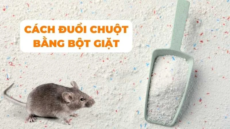 Cách đuổi chuột bằng bột giặt