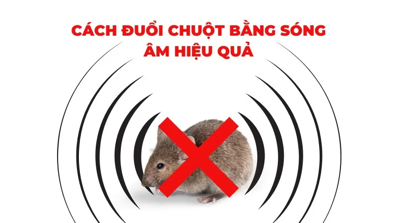 Cách đuổi chuột bằng sóng âm