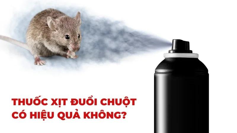 Thuốc xịt chuột có hiệu quả không?