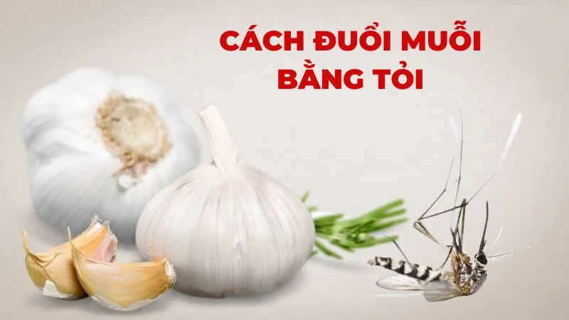 Cách đuổi muỗi bằng tỏi