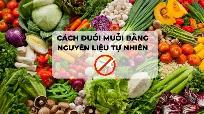 Cách đuổi muỗi tự nhiên