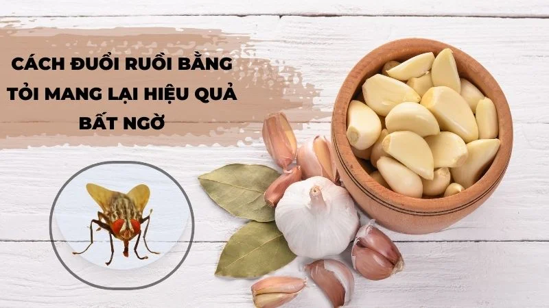 Cách đuổi ruồi bằng tỏi mang lại hiệu quả bất ngờ