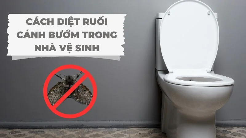 Cách diệt ruồi cánh bướm trong nhà vệ sinh