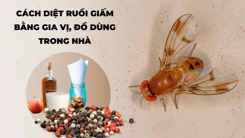 Cách diệt ruồi giấm bằng gia vị, đồ dùng trong nhà