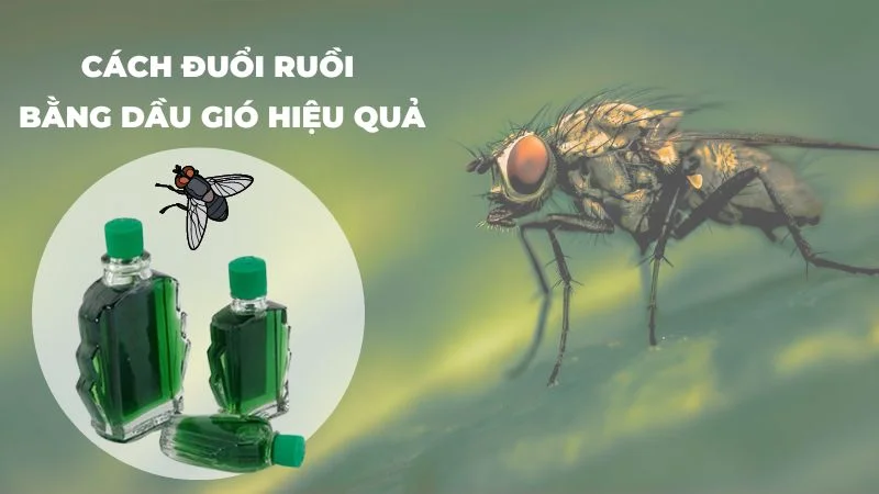 Cách đuổi ruồi bằng dầu gió hiệu quả