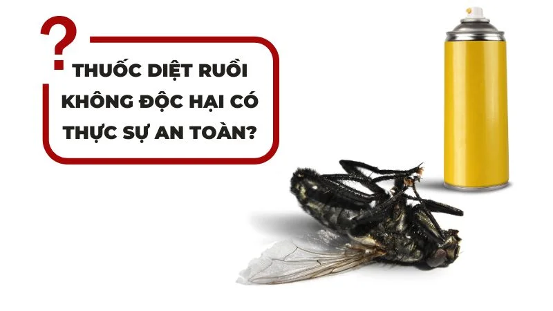 Thuốc diệt ruồi không độc hại có thực sự an toàn?