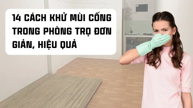 Cách khử mùi cống phòng trọ