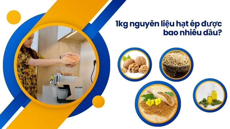 1kg nguyên liệu hạt ép được bao nhiêu dầu?