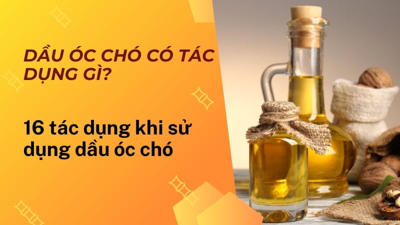 Dầu óc chó có tác dụng gì?