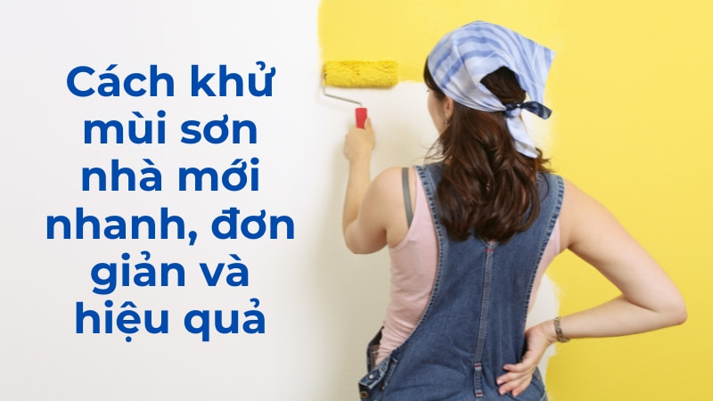 Các khử mùi sơn nhà mới